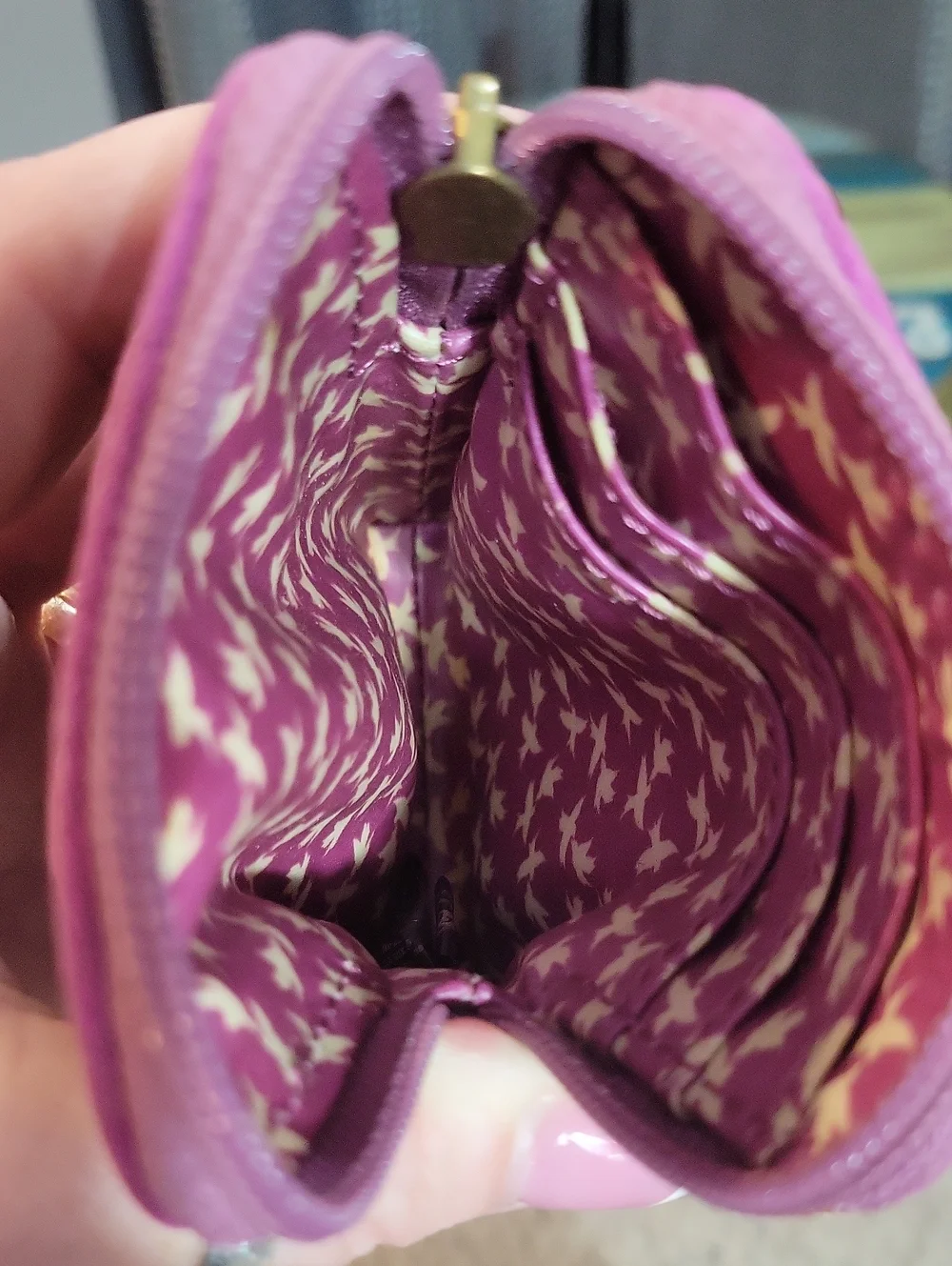 Fossil Birds Striped Wristlet Small CoinPurse Pocket Credit Cards